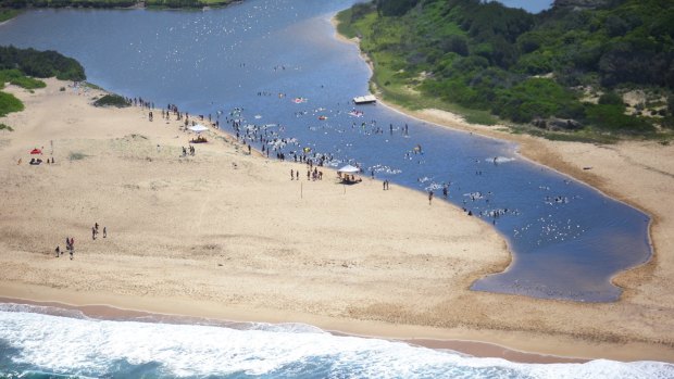 Swimmers avoid Burwood Beach where a shark was spotted, opting for the nearby lagoon instead.