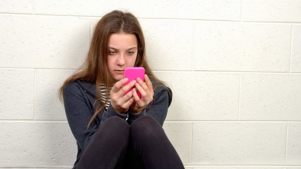 Social media giants have told a parliamentary committee they do not support tougher penalties for cyberbullies.