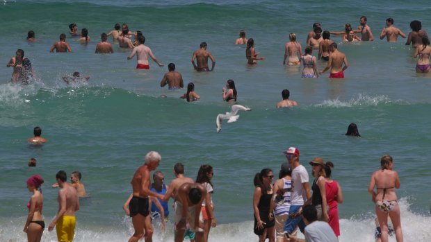 Cooling off: Crowds gathered at  Bondi Beach during Friday's hot spell.