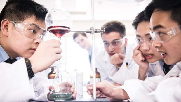 Some of the year 11 boys at Sydney Grammar School who have made an anti-parasitic drug for $2 a dose.