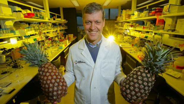 Biochemist Professor Rob Pike says enzymes found in pineapples can cure diarrhoea in piglets, reducing the reliance on antibiotics.