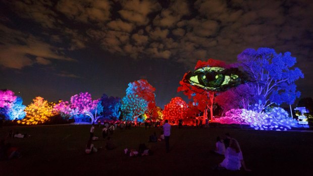 2017 Perth International Arts Festival's free opening weekend event, Boorna Waanginy: The Trees Speak, was a hit.
