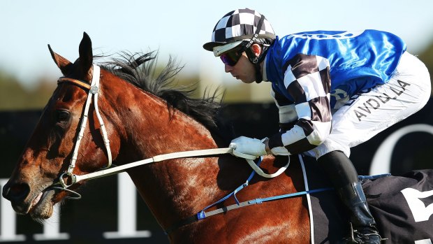 One of those days:  Brenton Avdulla and Brook Road took out the July Sprint at Canterbury on Saturday.