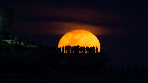 The moon rises above Ben Buckler point at Bondi, a day after the supermoon was obscured by clouds.