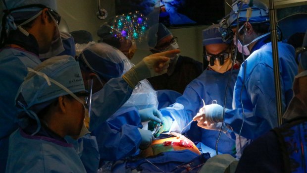 Medical experts at St Vincent's Hospital implant artificial valves while the patient's heart keeps beating.