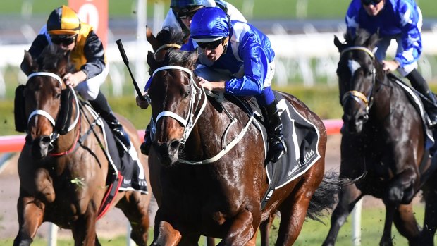 The trainer of Winx will use dome special equipment to try and settle the horse's barrier nerves. 