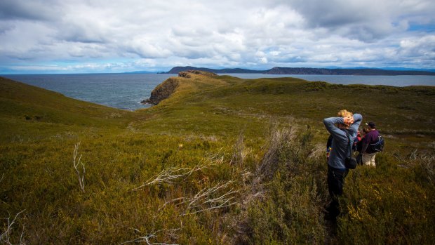 Bruny is effectively two islands, North and South, connected by a narrow isthmus called The Neck.