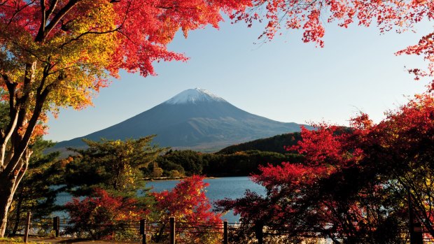 Watching the seasons change is one of the joys of visiting Japan in the off-season.