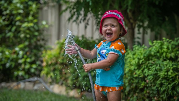 Mae Love, 22 months, cools down in her family's Latham backyard on Sunday. 
