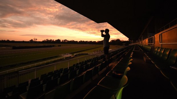 In his place: David Vandyke watches trackwork at Warwick Farm racecourse.