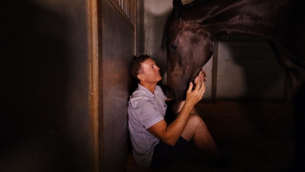 Special bond: Horse trainer David Vandyke with Yankee Rose at his stables in Warwick Farm.