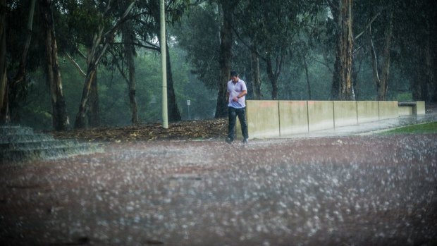 A man braves Canberra's wet weather Wednesday afternoon.