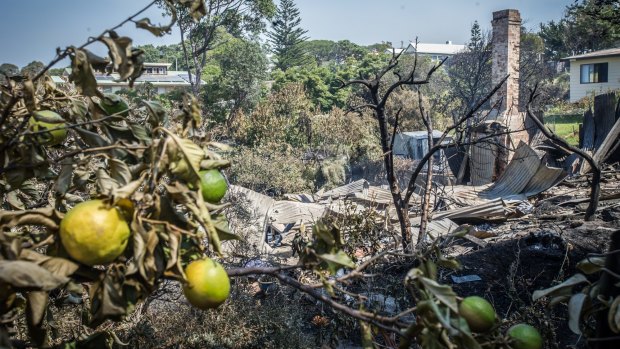 The home on the corner of Tathra and Bay streets Tathra razed to the ground in the recent bushfires. 