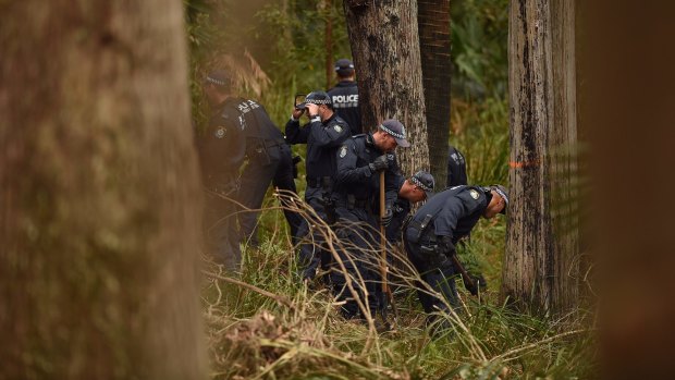 Police search for the remains of Matthew Leveson in bushland in the Royal National Park at Waterfall on Thursday.