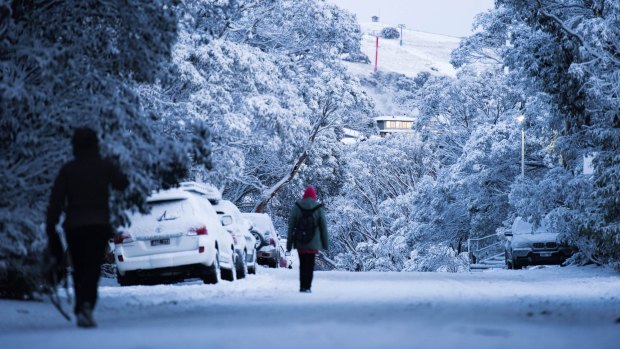 Mt Buller residents walking to work under snow covered trees.