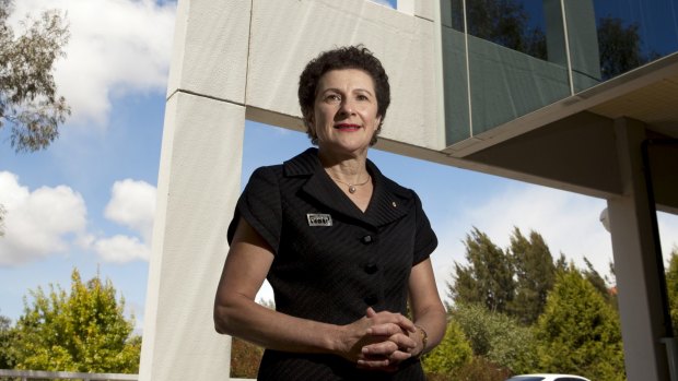 Clearer delineation: Australian Charities and Not-for-profits commissioner Susan Pascoe.