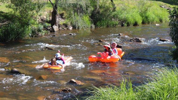 Flowing down Micalong Creek near Wee Jasper in an inflatable lobster is one way to cool off.