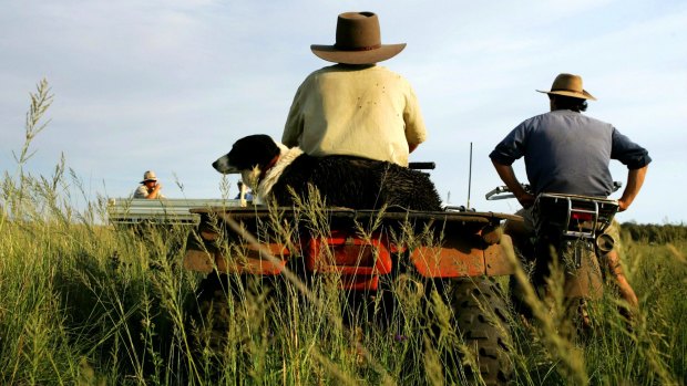 In a case this month, the Administrative Appeals Tribunal denied a farm worker almost $30,000 in expenses for meals, groceries and accommodation over two financial years. 
