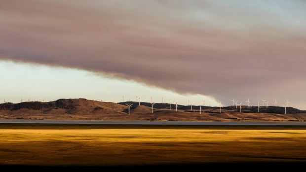 A large plume of smoke from the Braidwood fire seen over Capital Wind Farm near Bungendore on Friday evening.