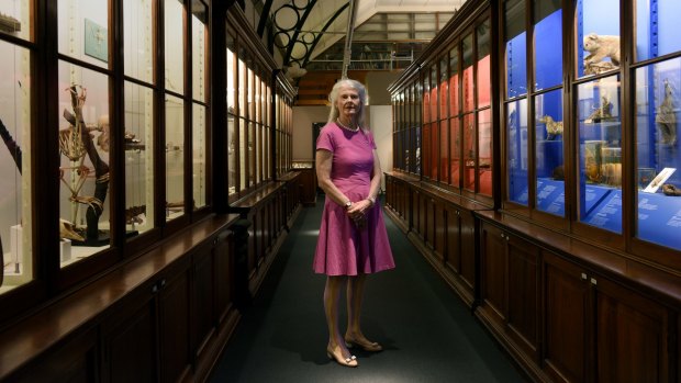 Architect and arts patron Penelope Seidler has donated money to Sydney University's new museum, but she is angered by plans to close the university's art school at Callan Park.