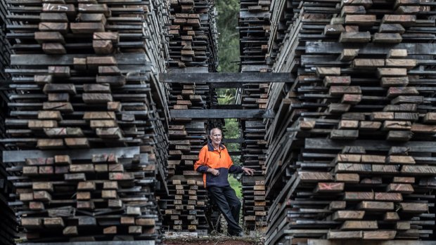 Harold Fox, proprietor of Powelltown Sawmills, says the proposed Great Forest National Park would mean the end for his business.