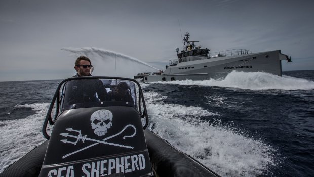 A Sea Shepherd volunteer runs launching drills ahead of activities to disrupt Japanese whalers in 2016.