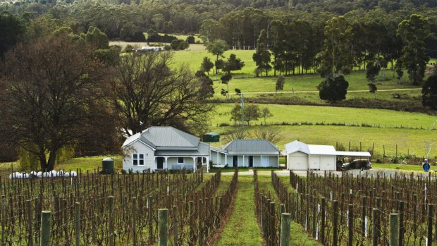 Australian wine has been in demand with annual exports up 18 per cent.