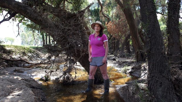 Danina Ward at the edge of Steele Creek on her property at Tamborine, the normally dry creek swelled flooding her property and killing two of her pet ponies.