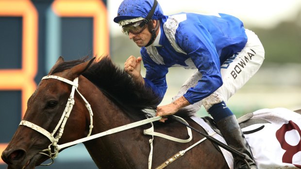 17th straight: Winx won again in the Queen Elizabeth Stakes at Randwick.