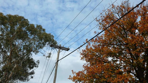 More than 7000 homes in NSW have been left without power, with people warned to prepare for up to 24 hours without electricity.