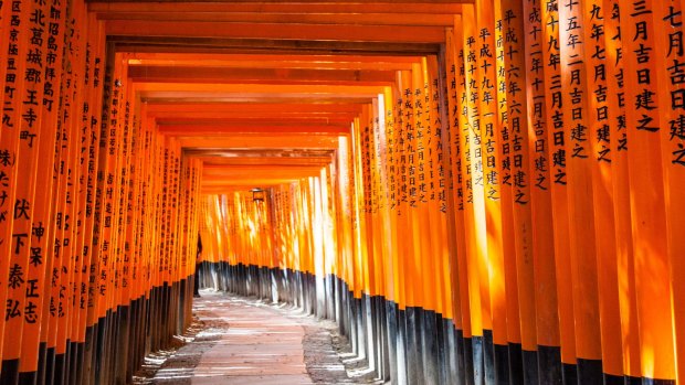 Radiant: The corridor of vermillion torii gates winding up Mount Inari. 