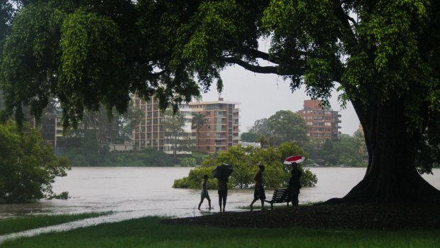 Photo taken on January 11, 2011 at 2.20pm. Rising flood waters at Orleigh Park, West End. ???My flood coverage started on January 11th, where I was sent to cover rising levels of the Brisbane River at West End.???