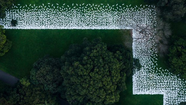 Seen from the air, the replica shields form the outline of the Garden Palace.