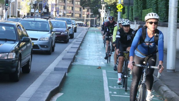 Cyclists on the College Street cycleway, which is facing removal. 