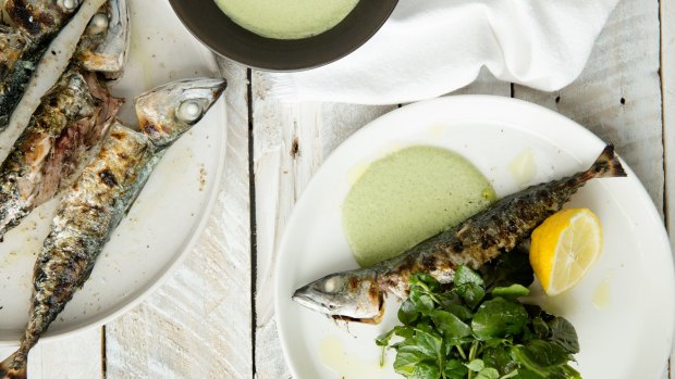 Grilled mackerel and herbed labna.