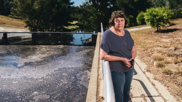 Glenys Patulny president of Tuggeranong Community council at the Kambah drain entry to Lake Tuggeranong. She is concerned about the water quality of the lake's catchment.