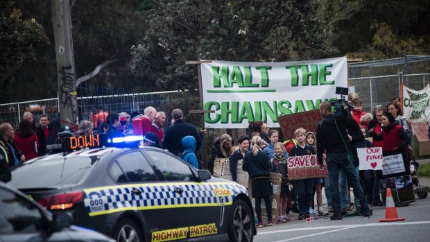 Protesters outside the site of Beaumaris Secondary College where trees are earmarked to fall.