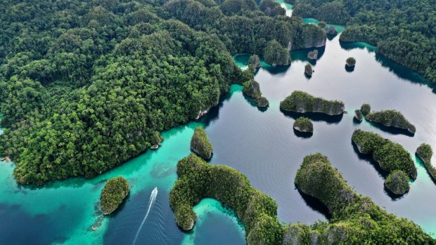The Raja Ampat archipelago in West Papua.
