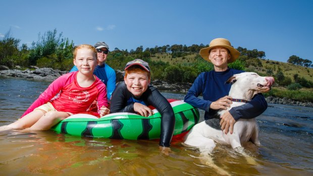 Cameron and Sarah-Jane Aitken from Ainslie cooled down from Friday's 35 degree heat with their children Tomas (9) and Ainsley (7) and their dog Stella at Point Hut.