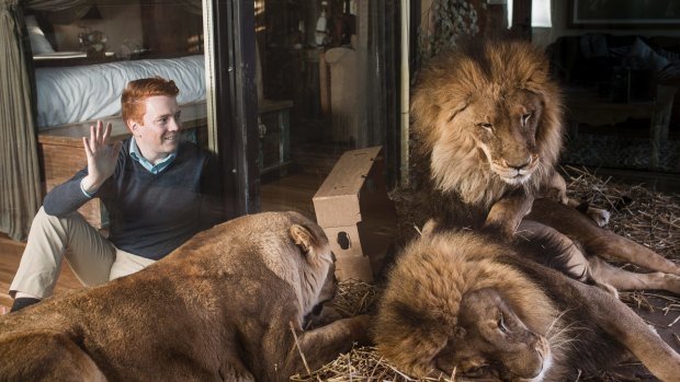 It's not every day you get woken at 3am from three lions roaring one metre from your bed. 