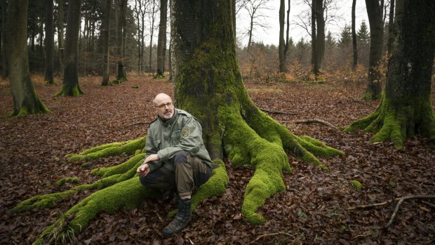 Forester Peter Wohlleben in Hummel, Germany, turned from forestry to tree keeping.