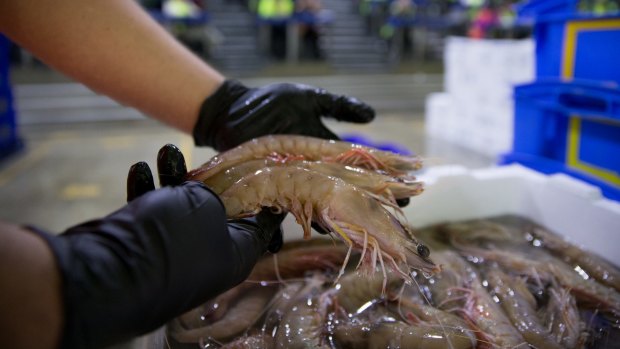 Be prepared to pay at least $30 a kilograms for prawns.