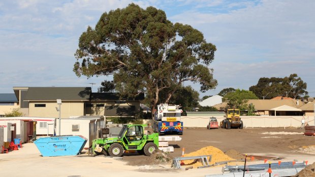 Developers of a Gwelup aged care facility development devided to retain this river gum after residents contacted media in an effort to save it. 
