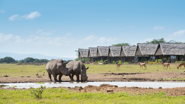 Rhinos by the waterhole at Sweetwaters Serena Camp.