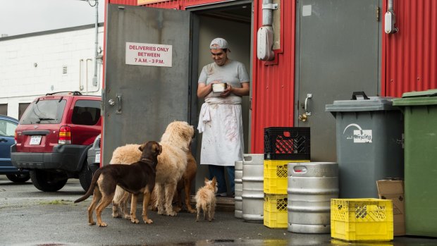 A Dog's Way Home is pure corn from start to finish, but in a nice way.