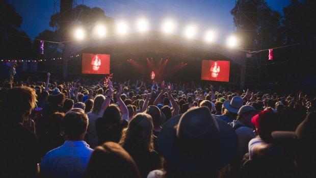 Kurt Vile at Golden Plains.