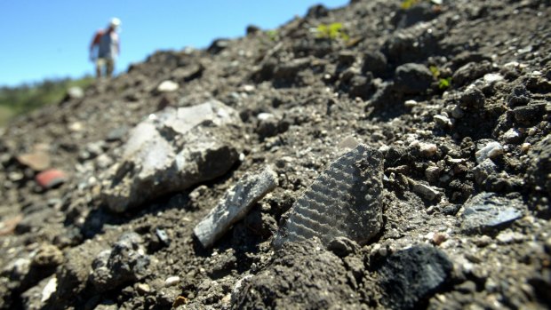 Dumped asbestos at a waste management facility in Bathurst.