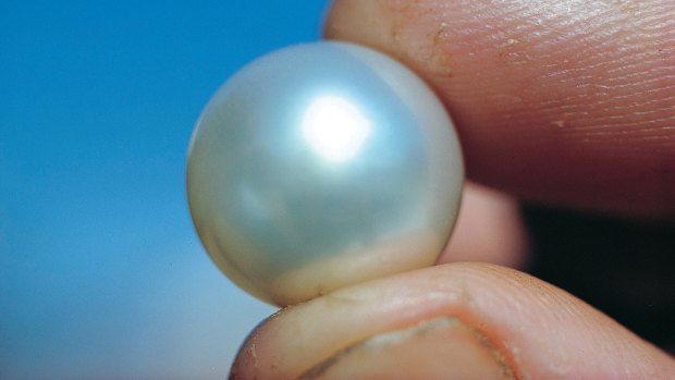 A Broome pearl.