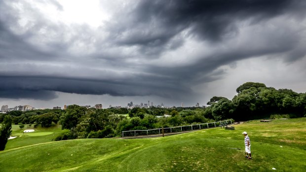 Clover Moore has called for Moore Park Golf Course to be reduced to nine holes. 