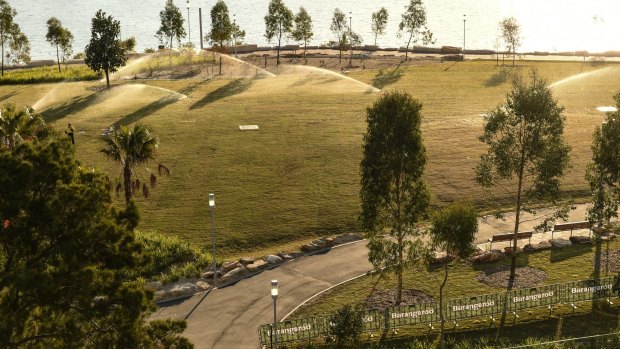 The parkland is home to 75,000 plants and 83 species of trees and shrubs, all of them native to the Sydney region.